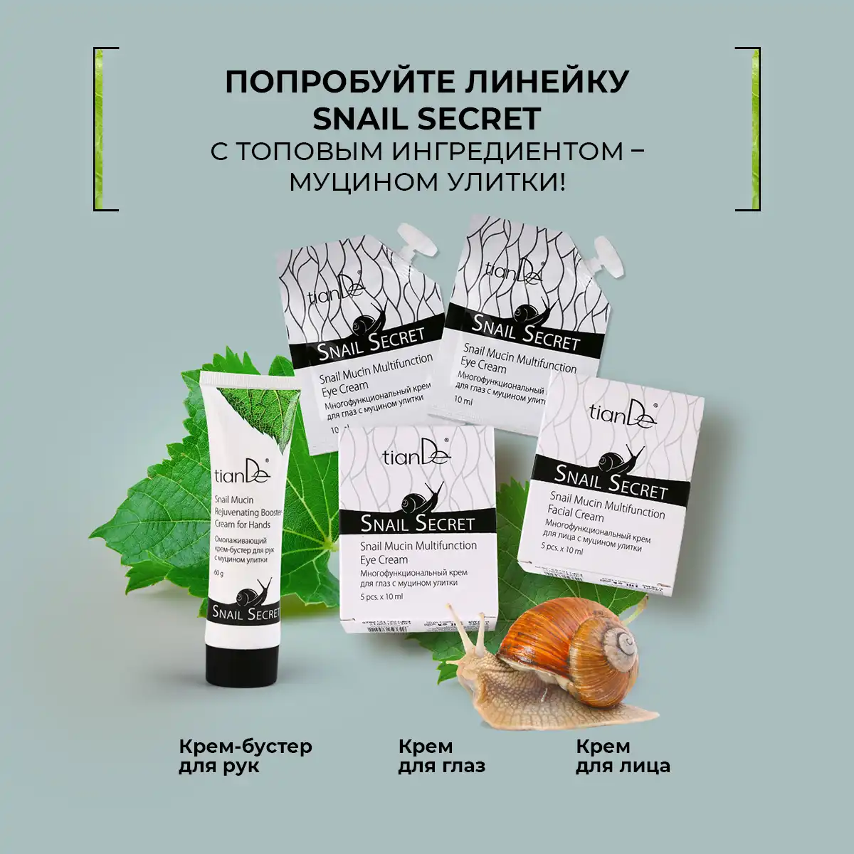 Многофункциональный крем для глаз с муцином улитки, 5 шт.х10 мл