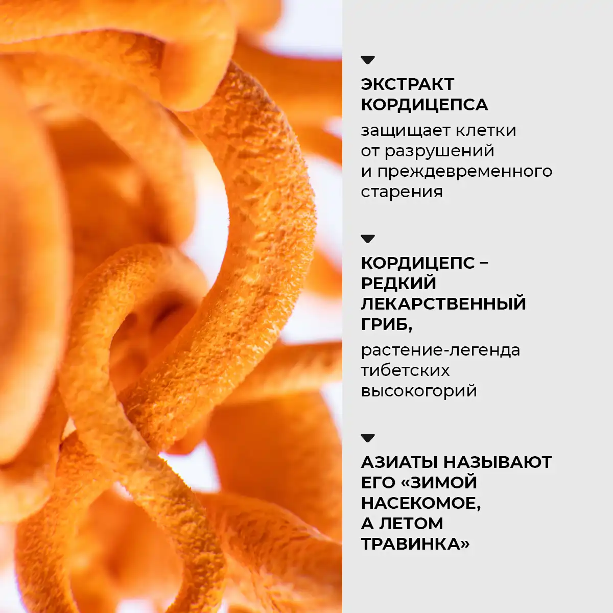 Ser pentru față cu cordyceps, 30 ml