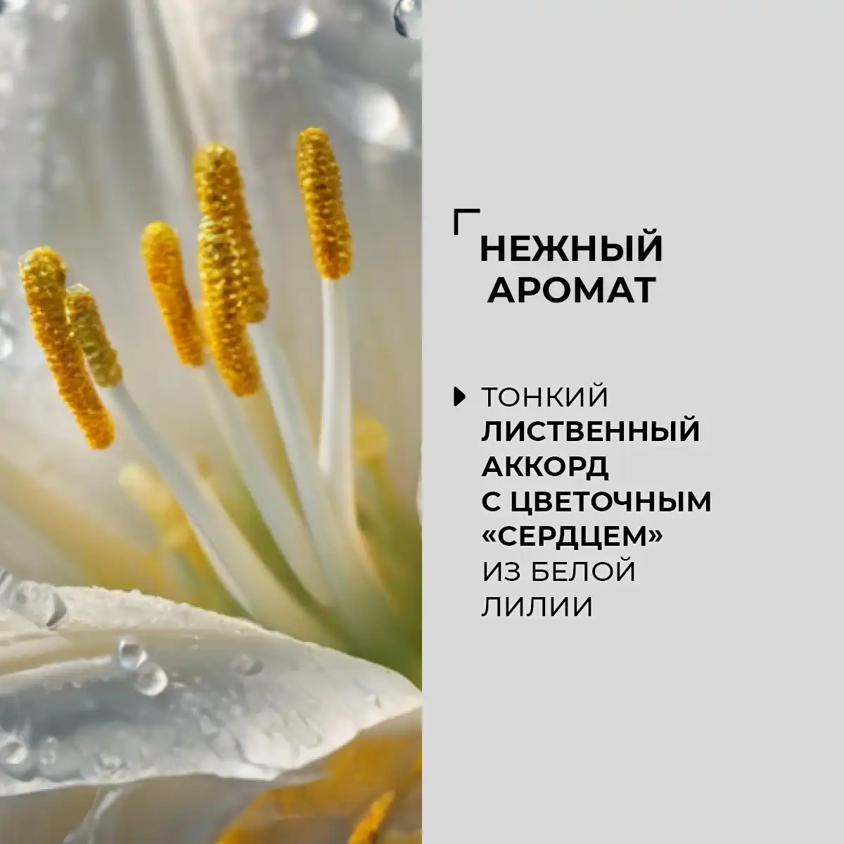 Deodorant spray pentru corp „Alunit natural și salvie”, 100 ml