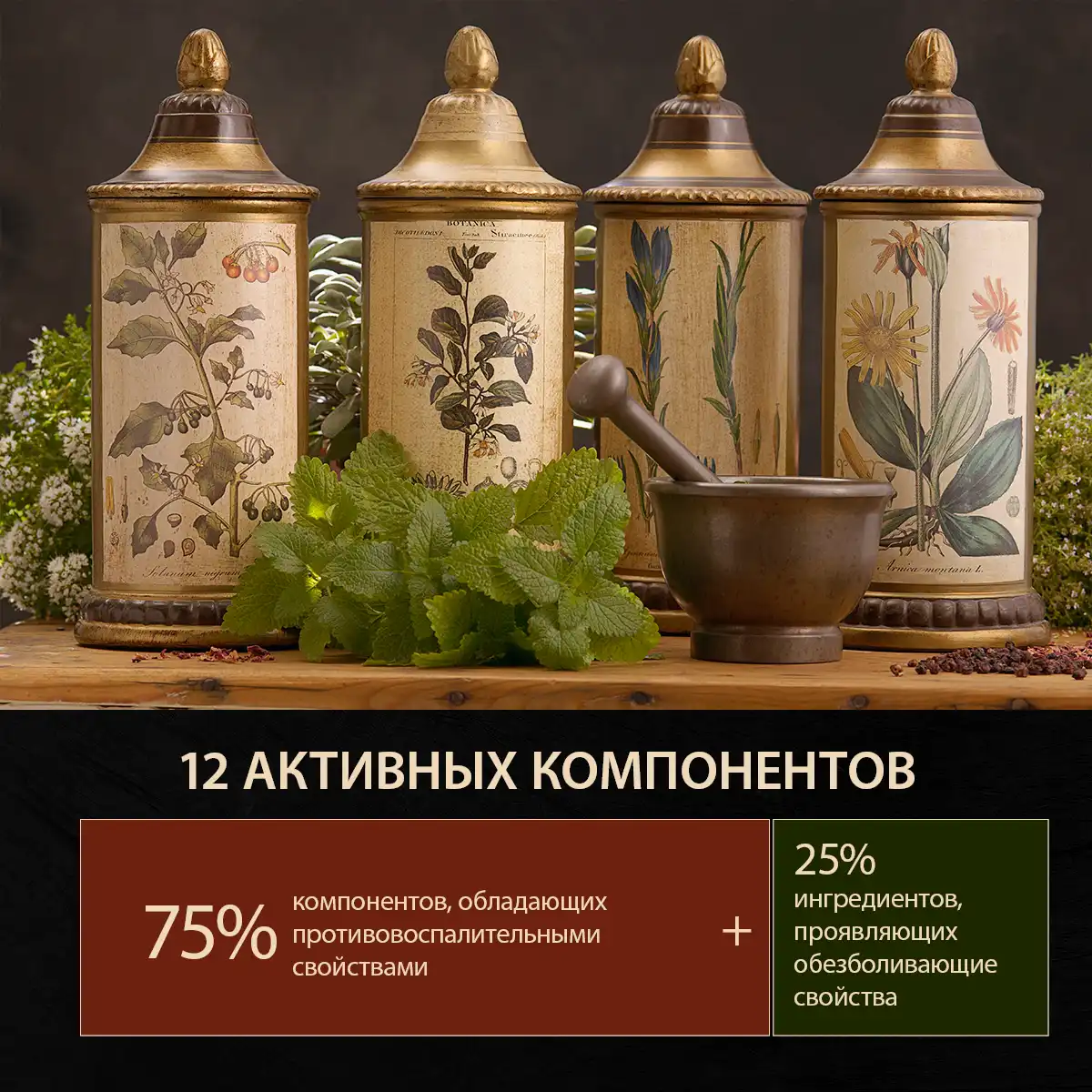 Фитопатч для тела косметический «Jian Kang» (5 шт.)