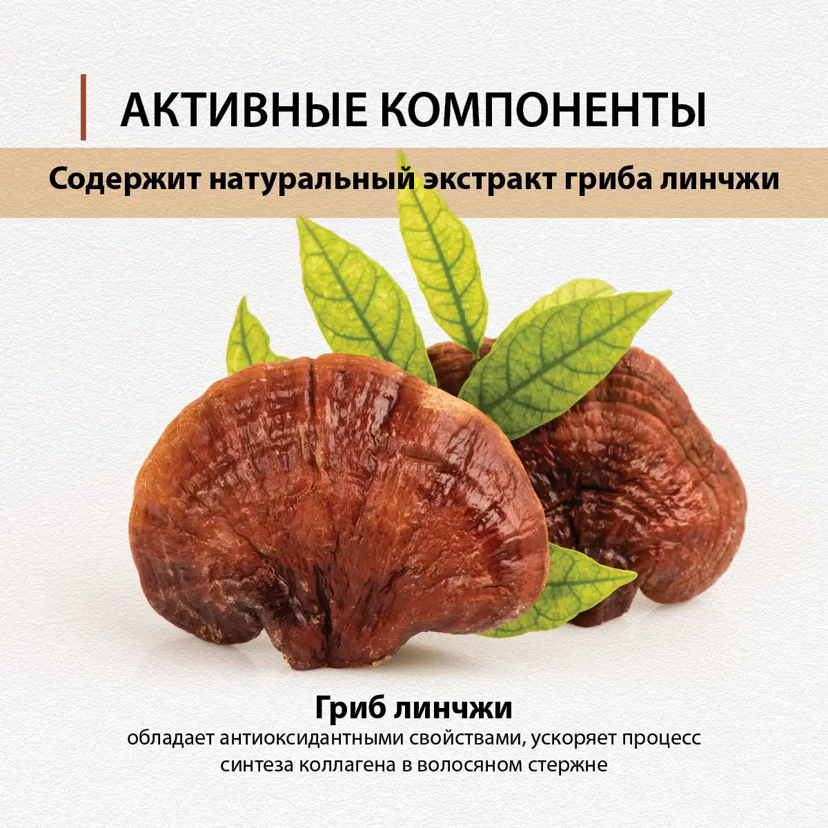 Шампунь укрепляющий корни с экстрактом гриба линчжи, 220 г
