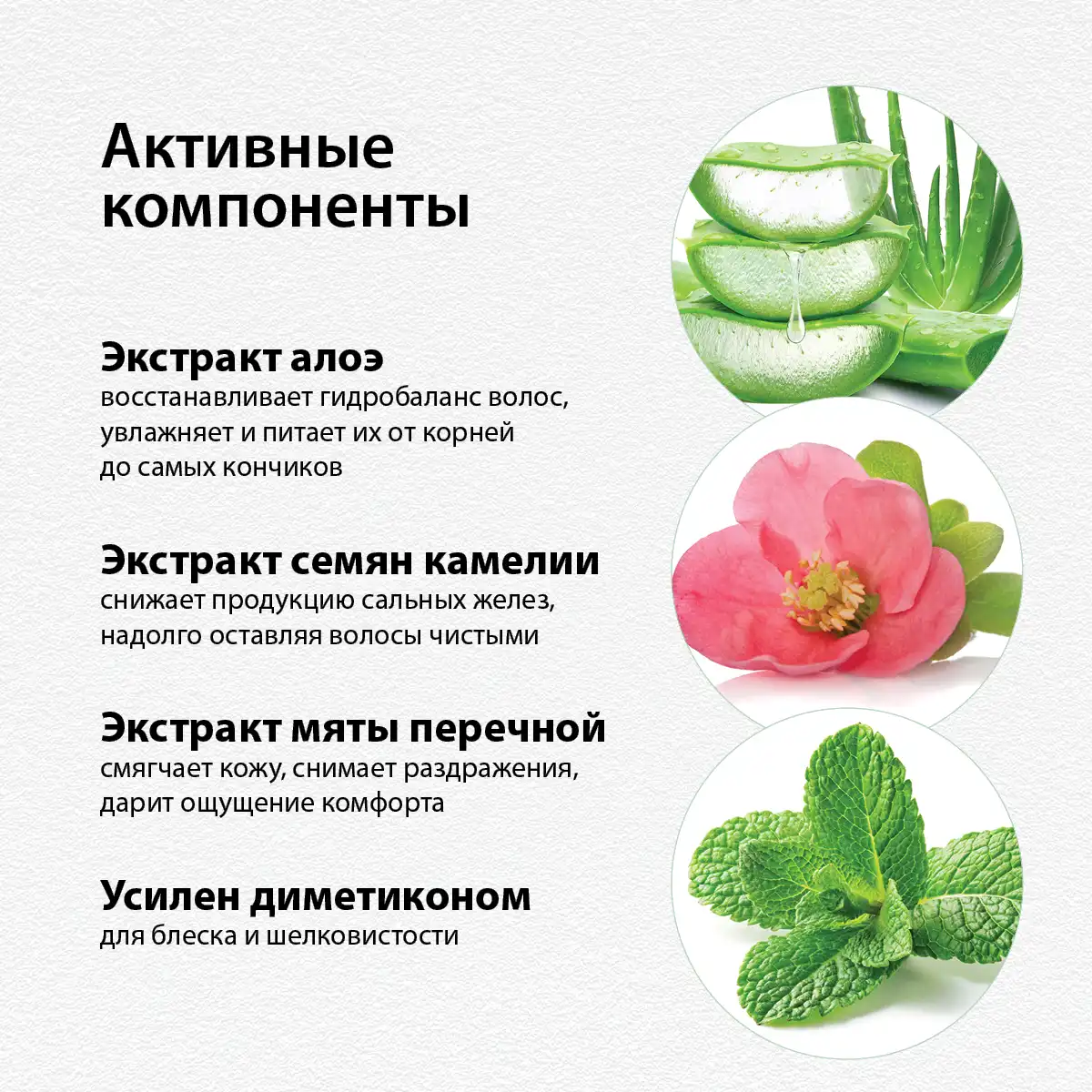 Șampon cu extract de aloe, 200 g