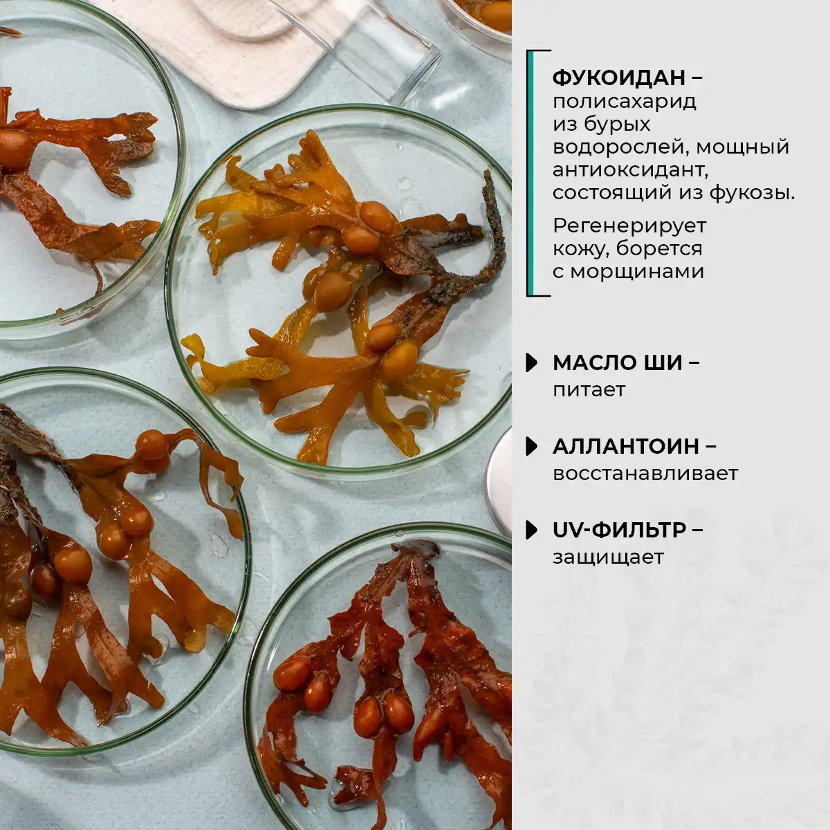 Бальзам для смягчения губ, 10 г