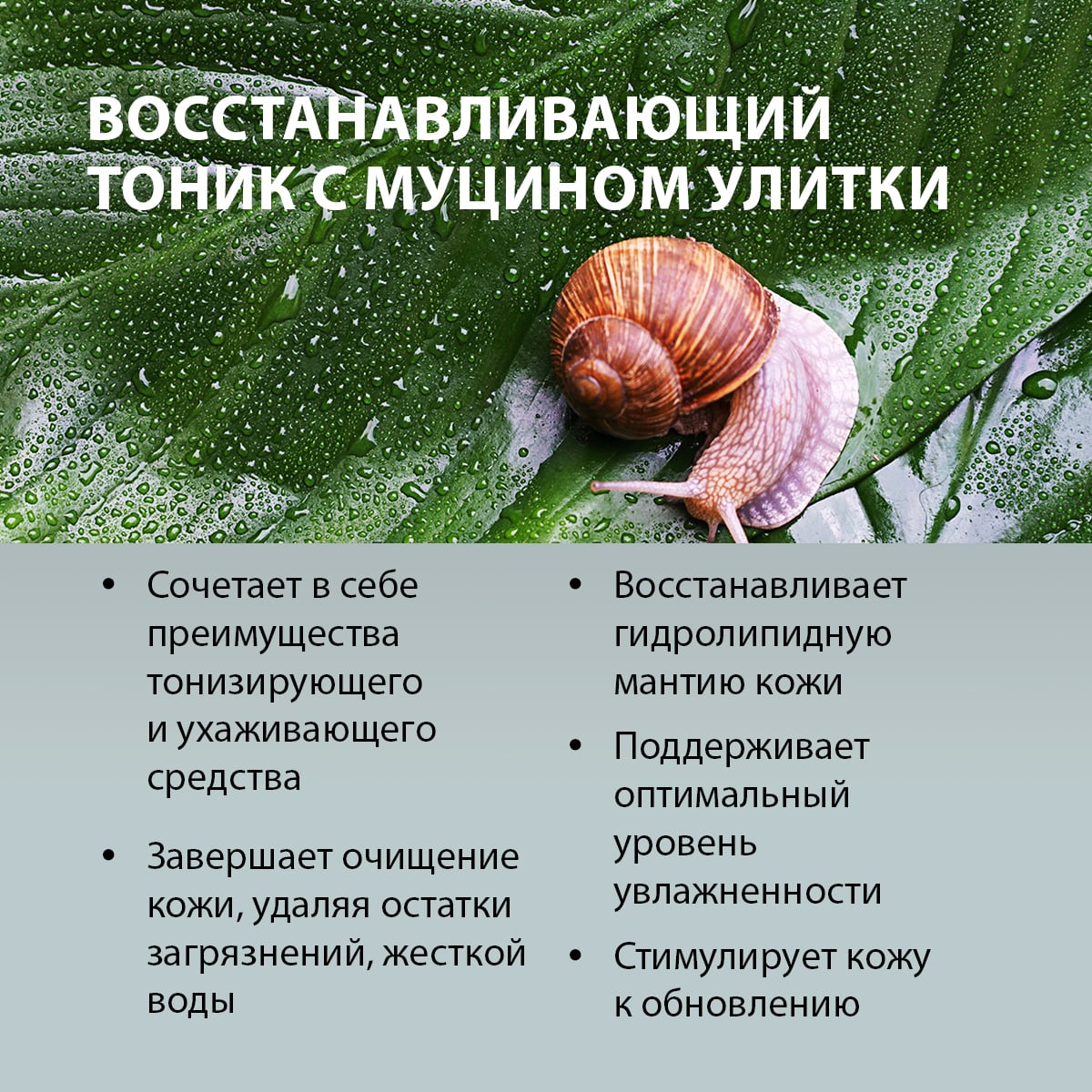 Восстанавливающий тоник с муцином улитки, 80 мл