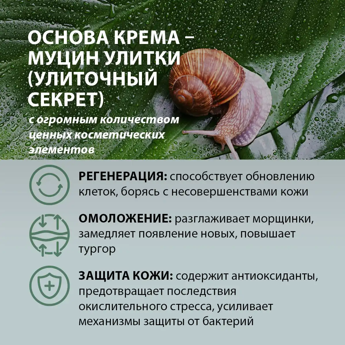 Омолаживающий крем-бустер для рук с муцином улитки, 60 г Thumbnail 4