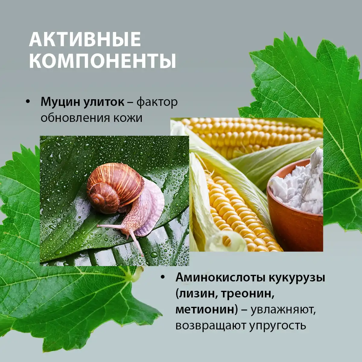 Омолаживающий крем-бустер для рук с муцином улитки, 60 г Thumbnail 6