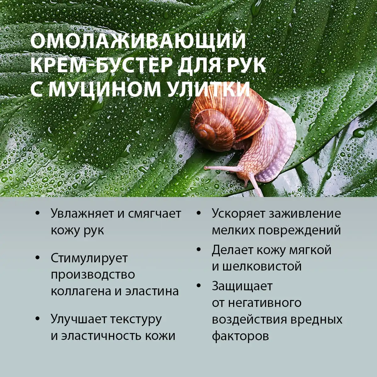 Омолаживающий крем-бустер для рук с муцином улитки, 60 г Thumbnail 2