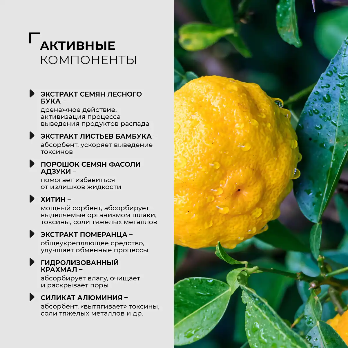 Plasture detoxifiant pentru picioare, 2 buc. Thumbnail 7