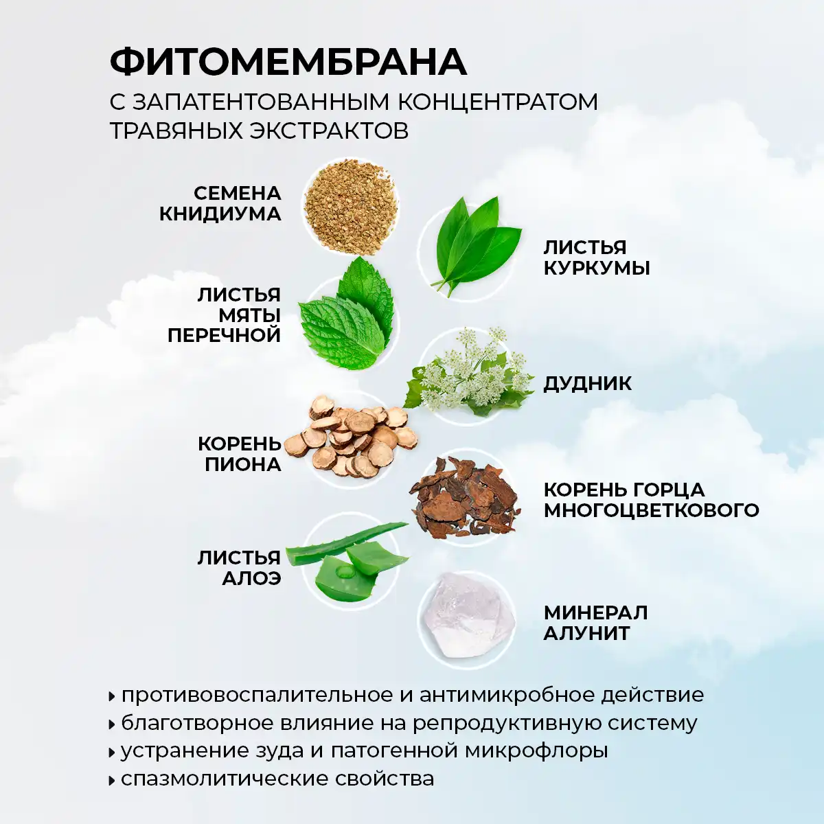 Absorbante pentru nopți critice cu fitomembrană „energia plantelor”, 8 buc. Thumbnail 5