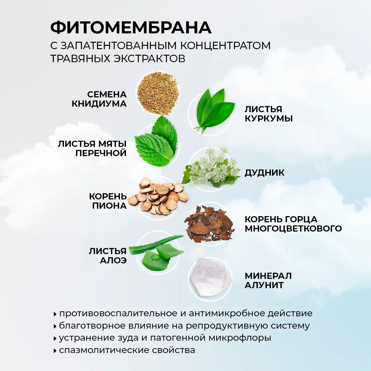 Absorbante pentru zile critice cu fitomembrană „energia plantelor”, 8 buc. Thumbnail 5