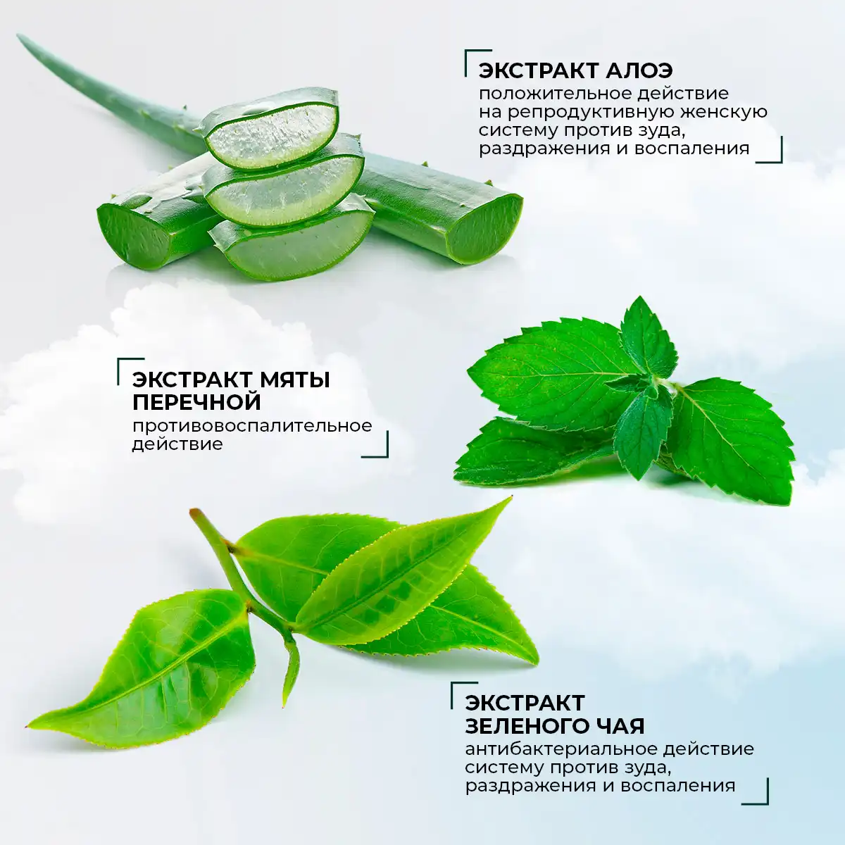 Absorbante zilnice cu extract de aloe „prospețime de nefrite”, 20 buc. Thumbnail 6