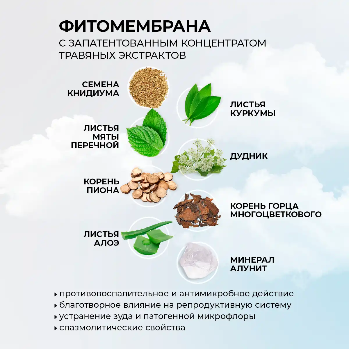 Absorbante zilnice cu fitomembrană „energia plantelor”, 20 buc. Thumbnail 3