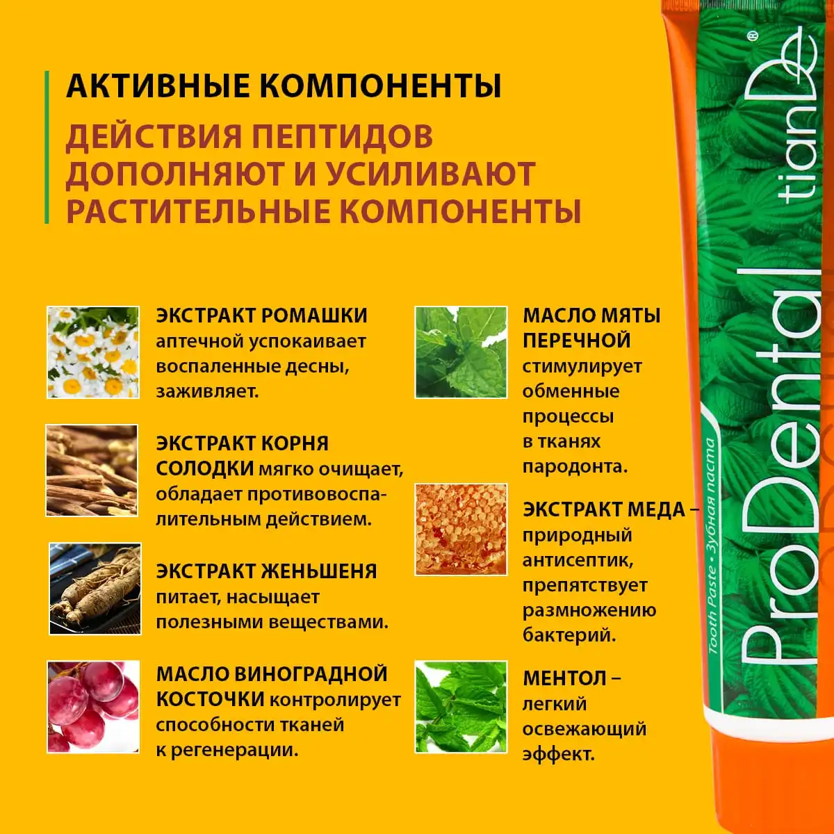 Pastă de dinți „prodental”, 120 g Thumbnail 7
